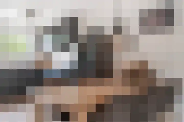 Gandhilaan 31 Delft thumbnail 14