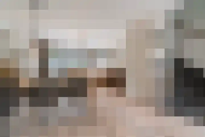 Gandhilaan 31 Delft thumbnail 18