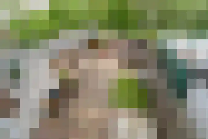 Gandhilaan 31 Delft thumbnail 25
