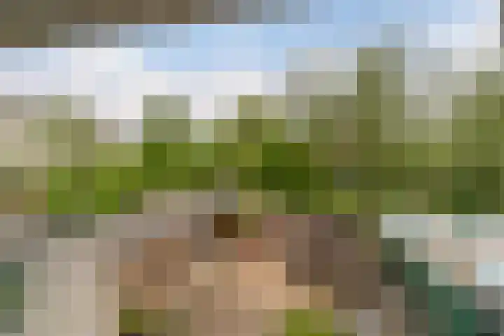 Gandhilaan 31 Delft thumbnail 26