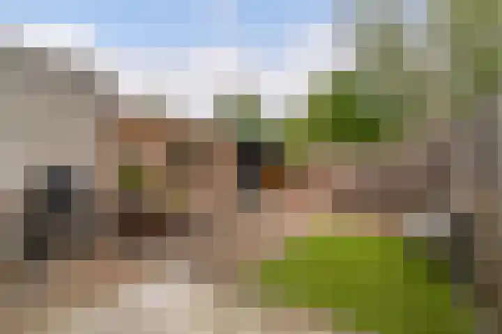 Gandhilaan 31 Delft thumbnail 30