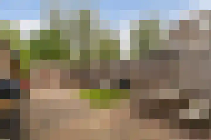 Gandhilaan 31 Delft thumbnail 31