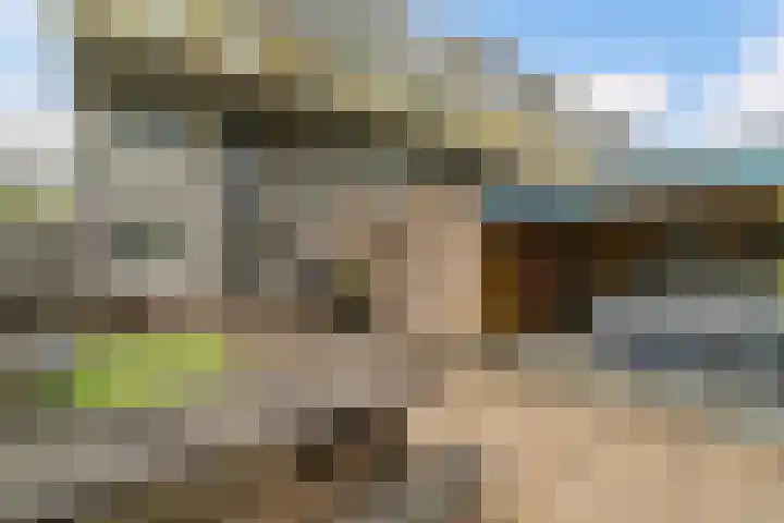 Gandhilaan 31 Delft thumbnail 37