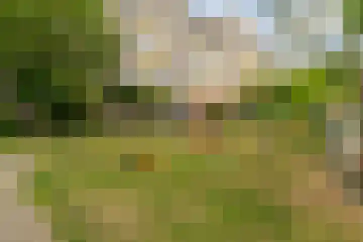 Gandhilaan 31 Delft thumbnail 41
