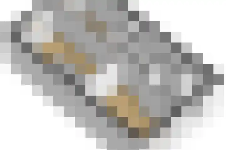 Gandhilaan 31 Delft thumbnail 47
