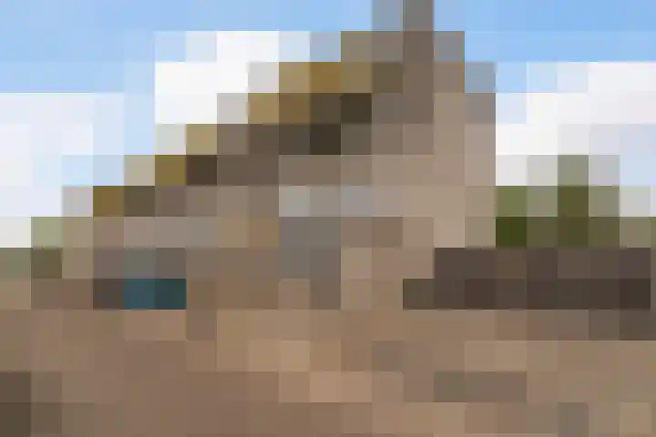 Gandhilaan 31 Delft thumbnail 50