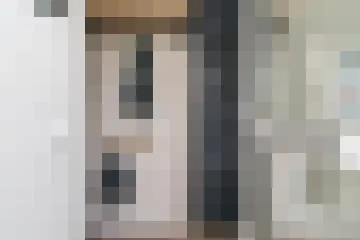 Gandhilaan 31 Delft thumbnail 8