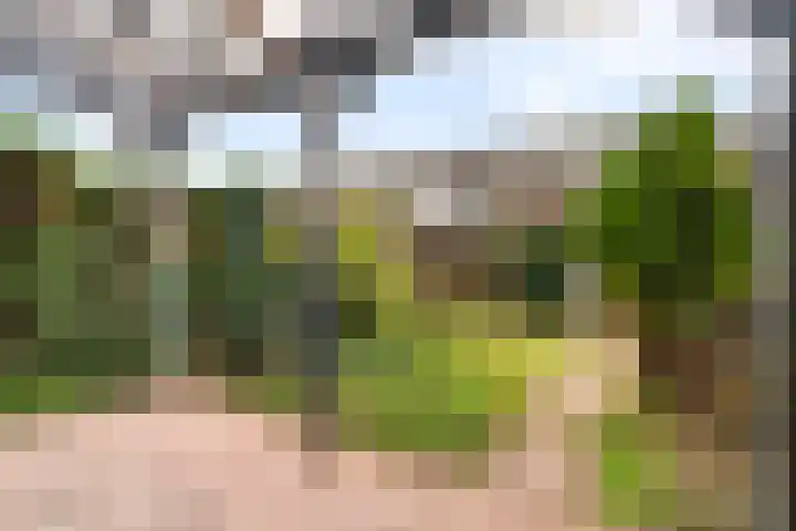 Gandhilaan 40 Delft thumbnail 14