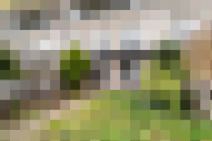 Gandhilaan 40 Delft thumbnail 17