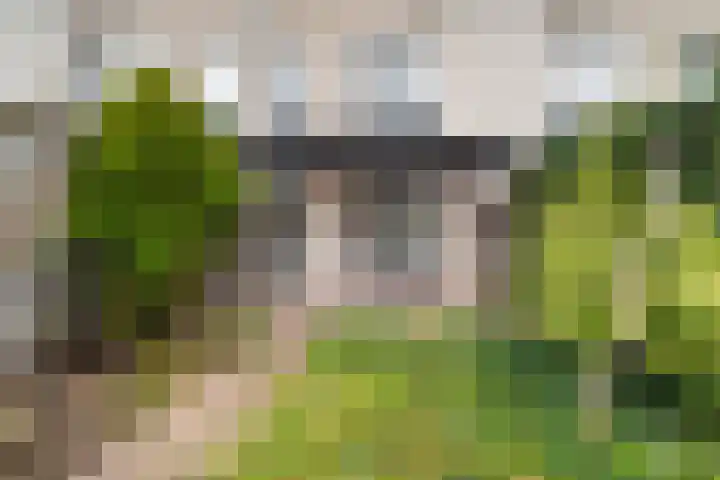 Gandhilaan 40 Delft thumbnail 18