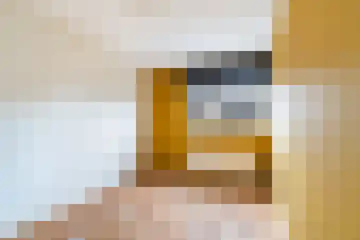 Gandhilaan 40 Delft thumbnail 22