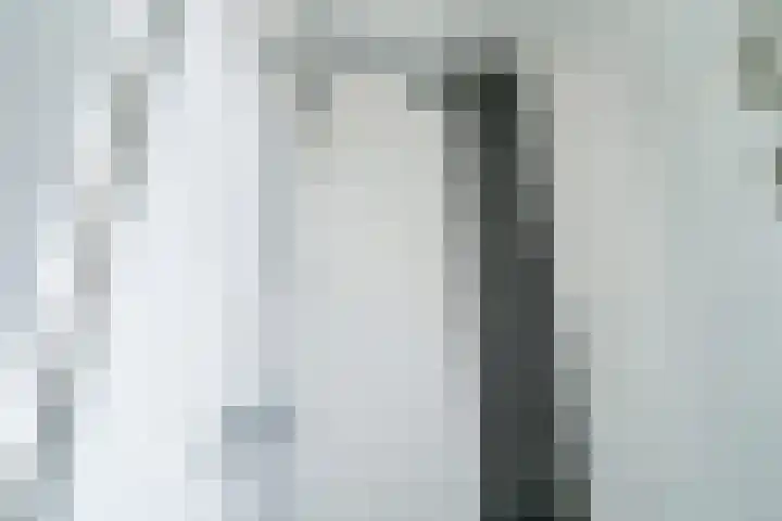 Gandhilaan 40 Delft thumbnail 28