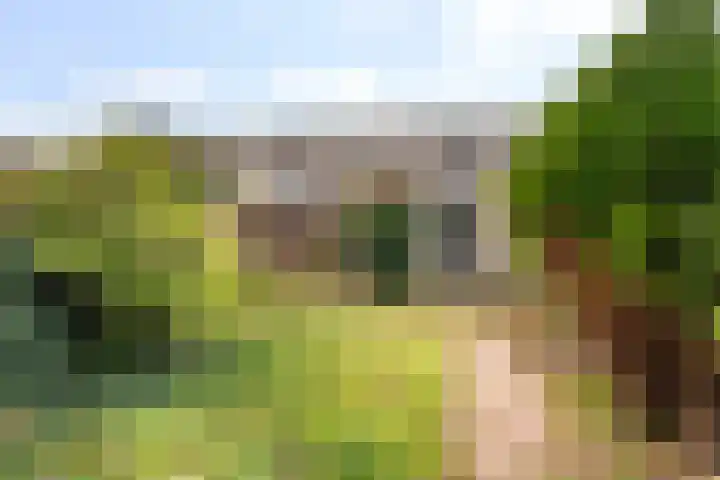 Gandhilaan 40 Delft thumbnail 4