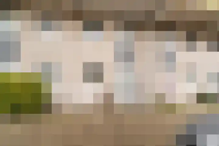 Gandhilaan 40 Delft thumbnail 5
