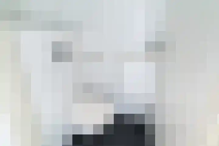 Gandhilaan 40 Delft thumbnail 7