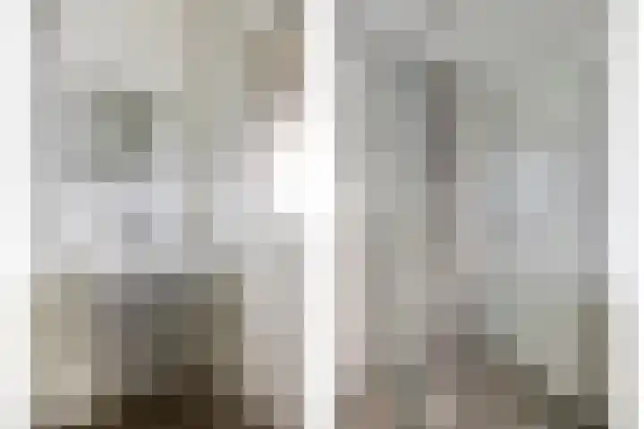 Gandhilaan 58 Delft thumbnail 12