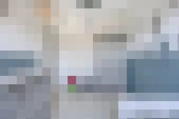 Gandhilaan 58 Delft thumbnail 18