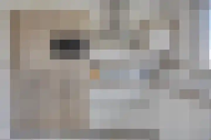 Gandhilaan 58 Delft thumbnail 21