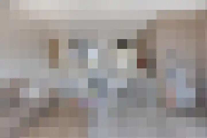 Gandhilaan 58 Delft thumbnail 24