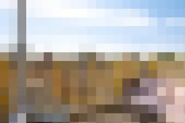 Gandhilaan 58 Delft thumbnail 27