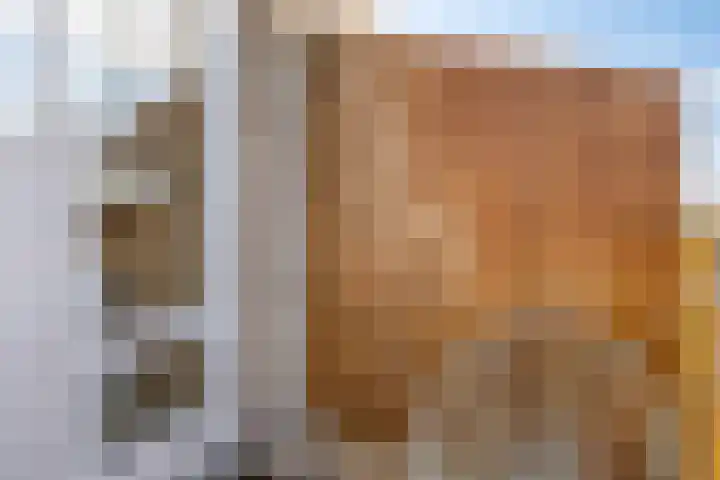 Gandhilaan 58 Delft thumbnail 28