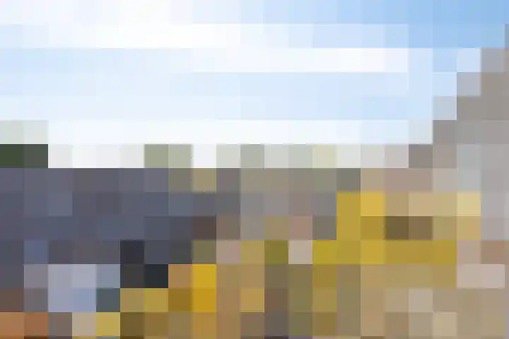 Gandhilaan 58 Delft thumbnail 30