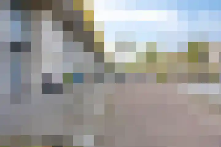 Gandhilaan 58 Delft thumbnail 5