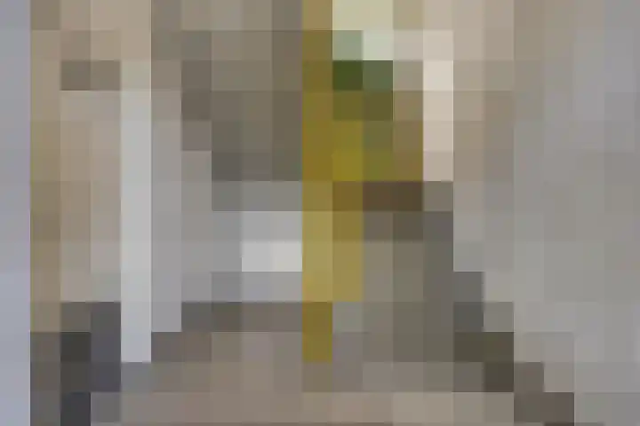 Gandhilaan 58 Delft thumbnail 6