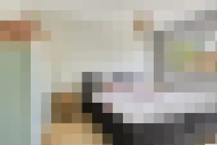 Gandhiplein 16 Maastricht thumbnail 16