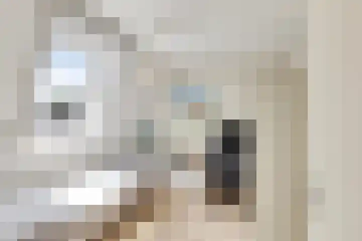 Gandhiplein 16 Maastricht thumbnail 17
