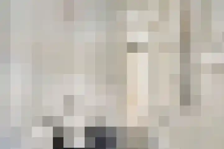 Gandhiplein 16 Maastricht thumbnail 20
