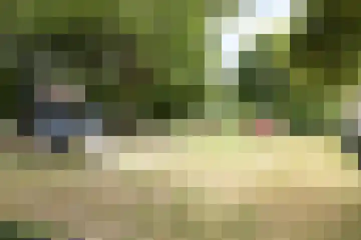 Gandhiplein 16 Maastricht thumbnail 25