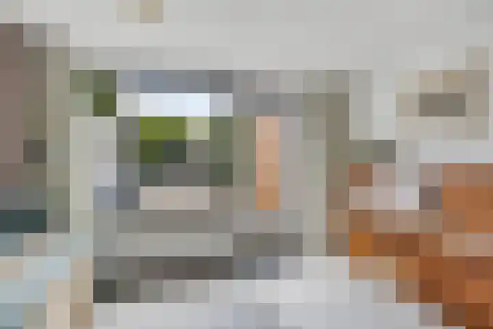 Gandhiplein 16 Maastricht thumbnail 9