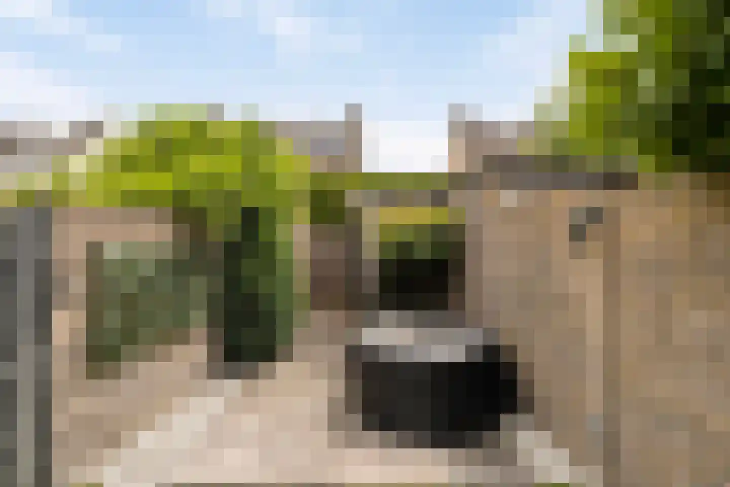 Gandhiplein 20 Maastricht thumbnail 20