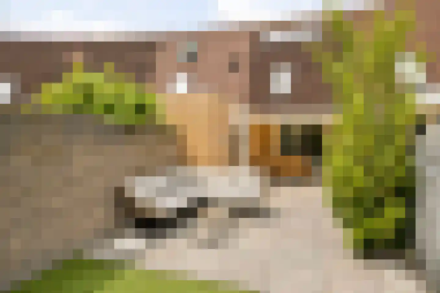 Gandhiplein 20 Maastricht thumbnail 18
