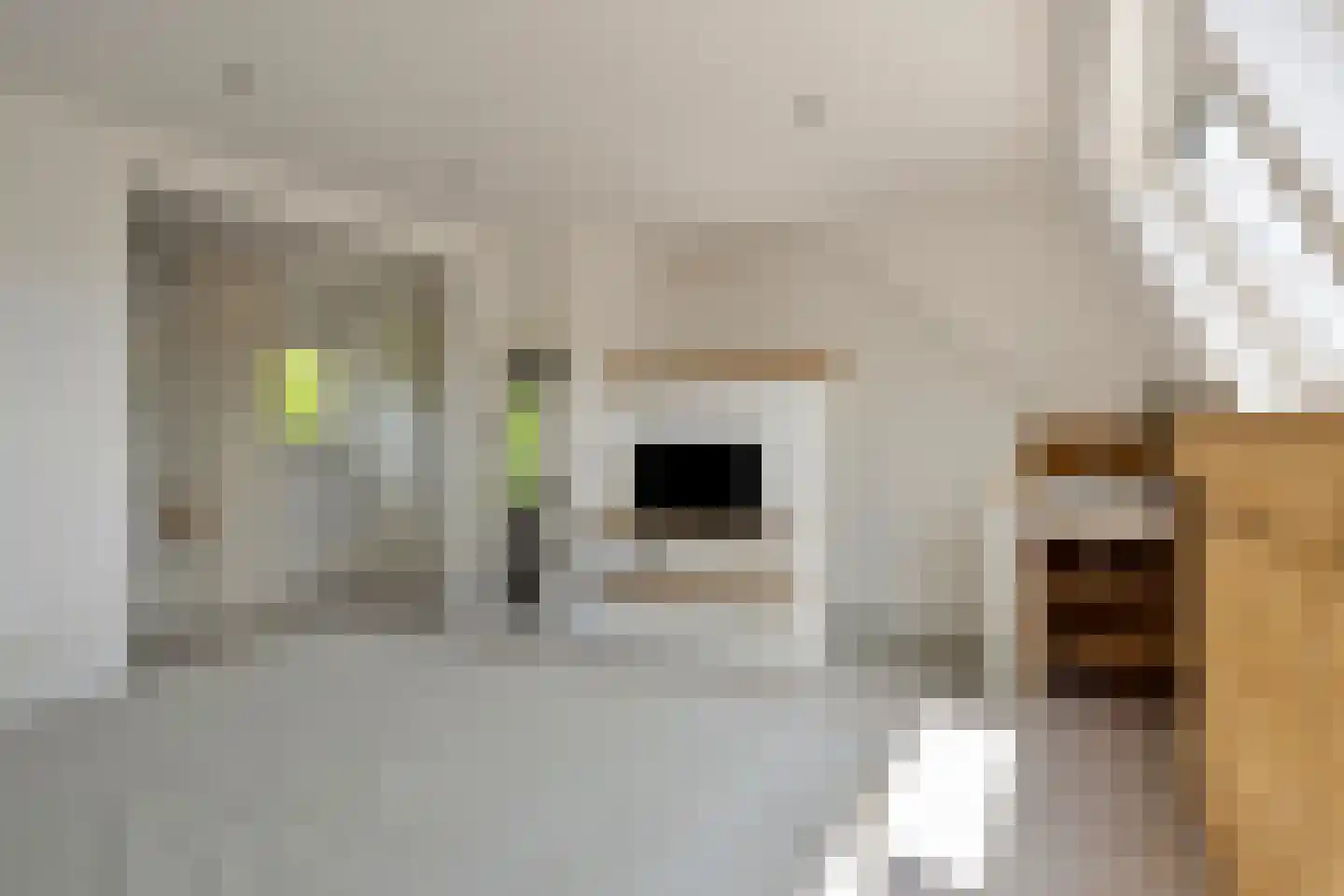 Gandhiplein 20 Maastricht thumbnail 33