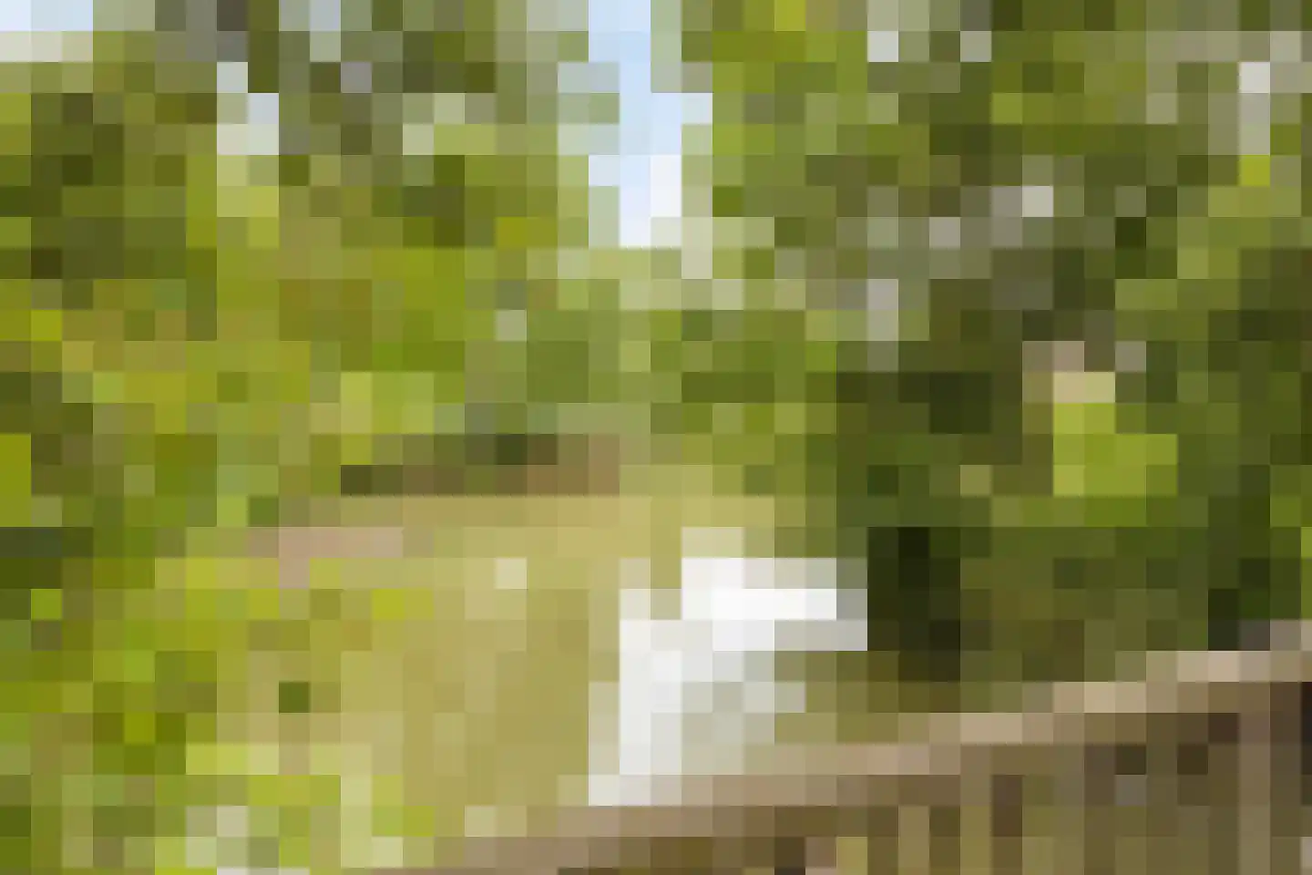 Gandhiplein 20 Maastricht thumbnail 31