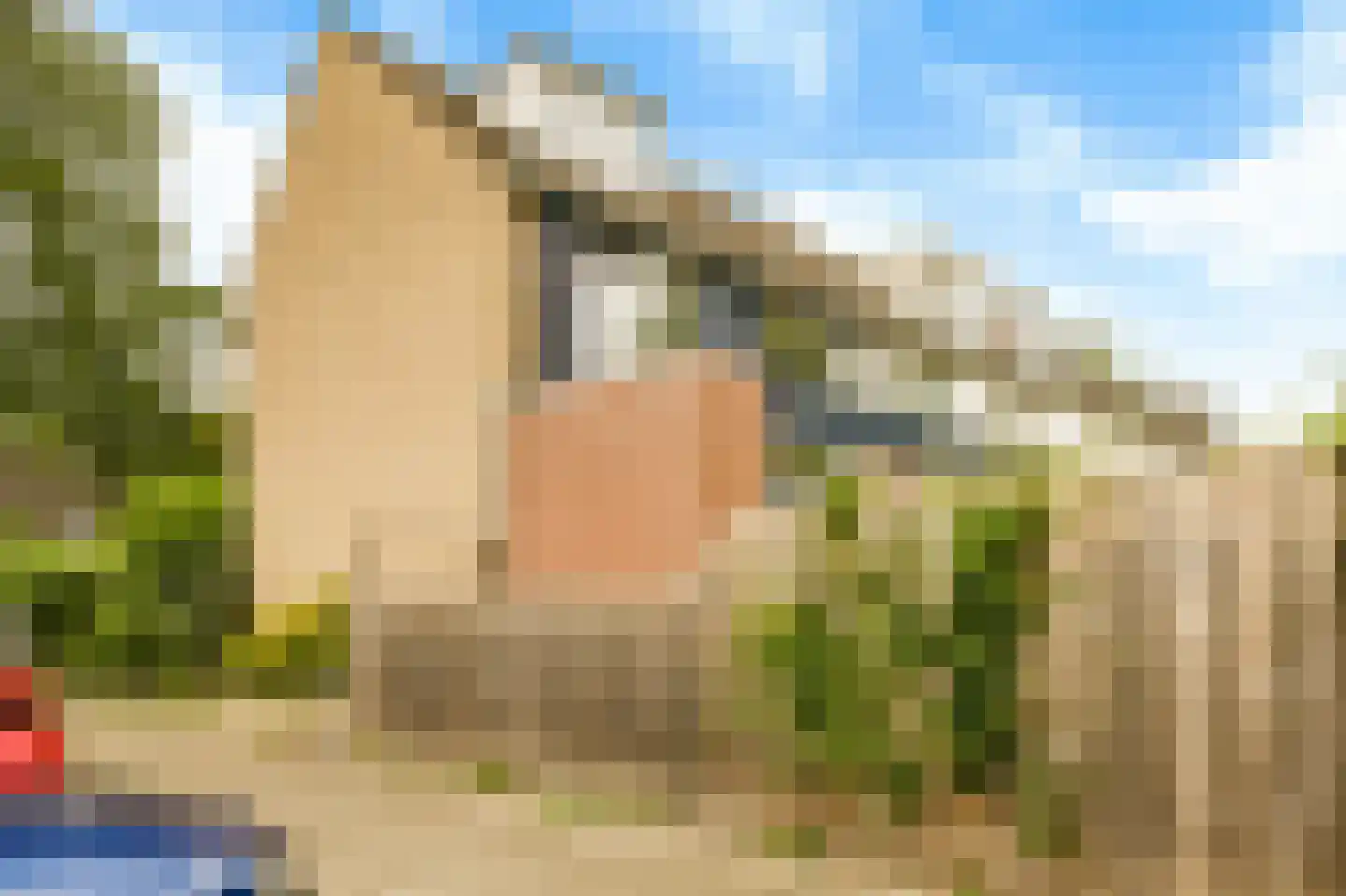 Gandhistraat 125 Hoofddorp thumbnail 36