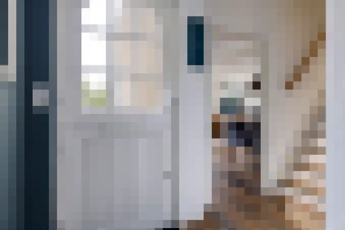 Gandhistraat 18 Zetten thumbnail 10