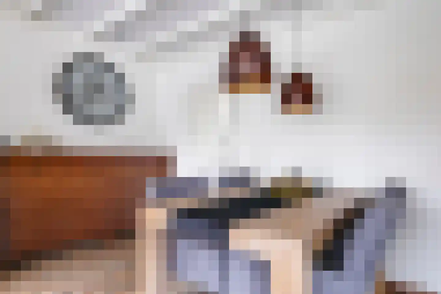Gandhistraat 18 Zetten thumbnail 20