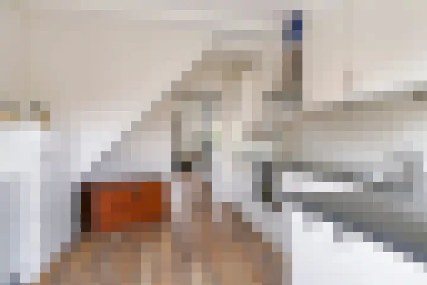 Gandhistraat 18 Zetten thumbnail 24