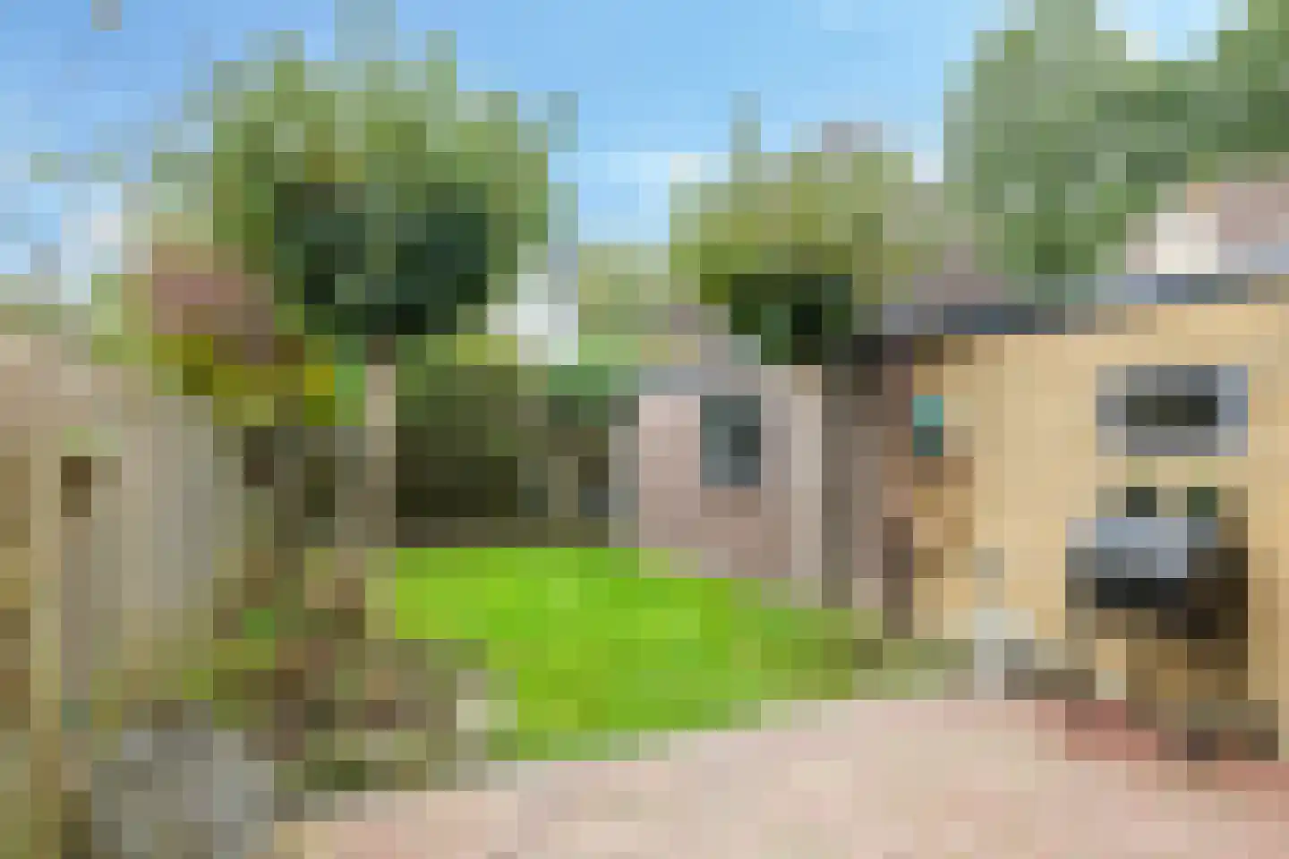 Gandhistraat 18 Zetten thumbnail 47