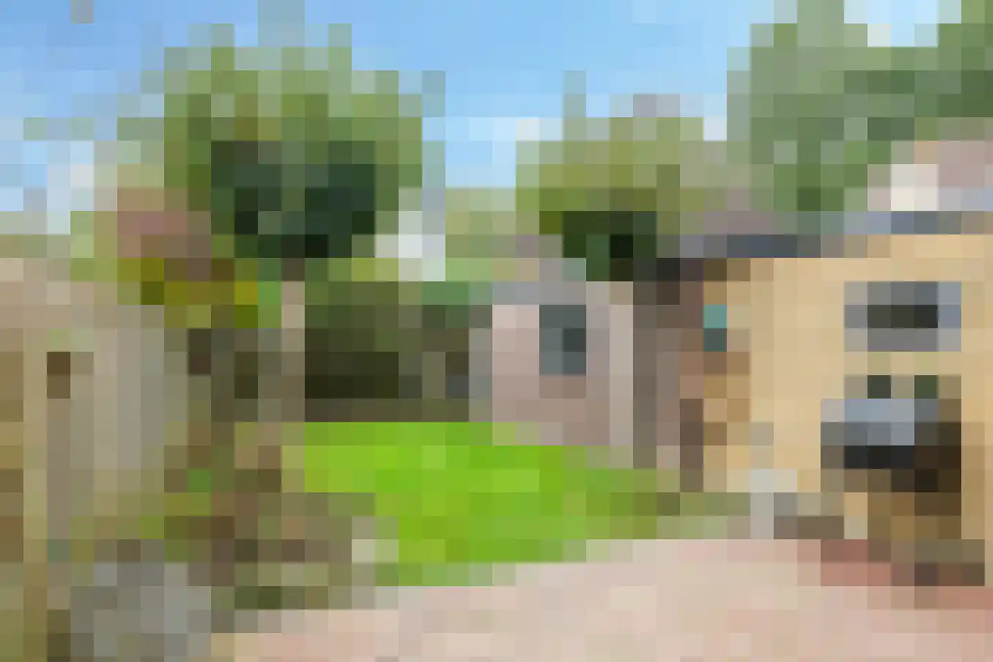 Gandhistraat 18 Zetten thumbnail 5