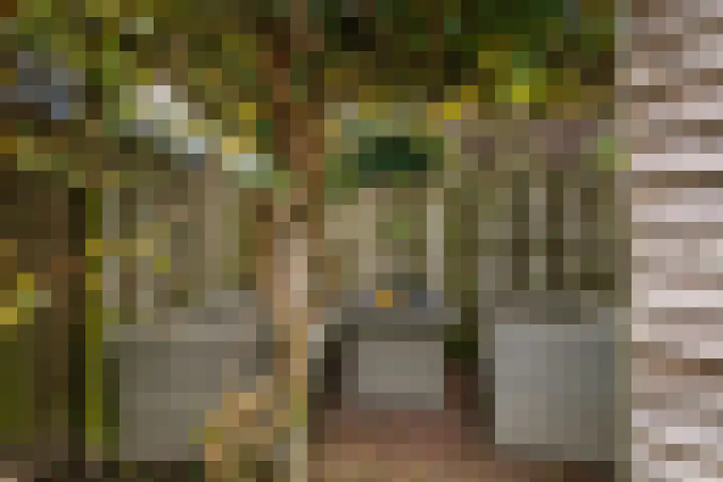 Gandhistraat 18 Zetten thumbnail 51