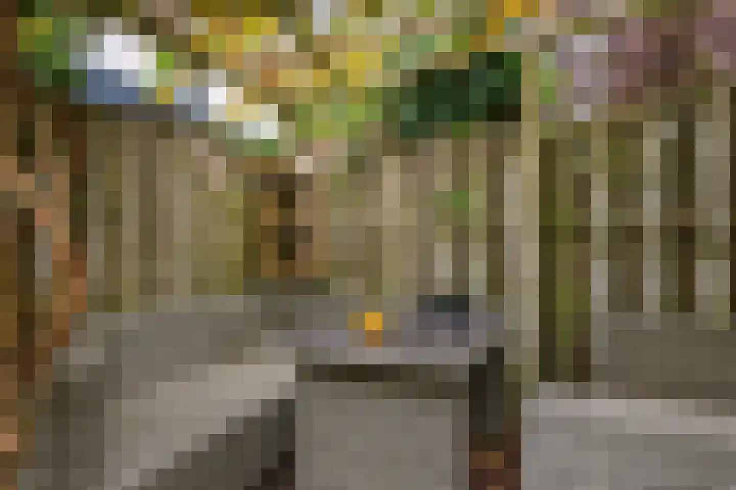 Gandhistraat 18 Zetten thumbnail 52