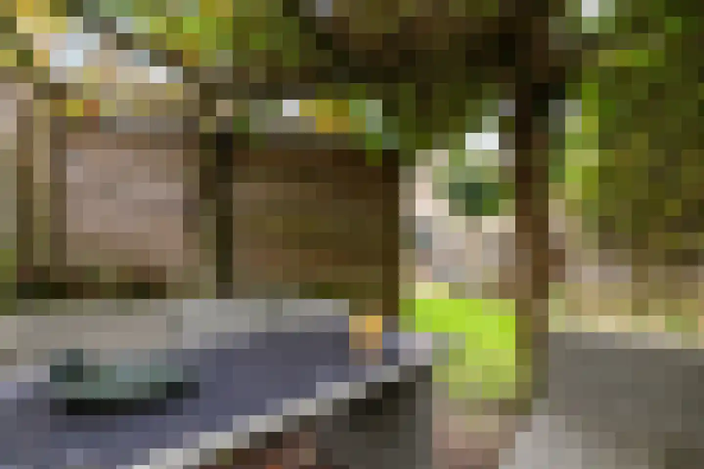 Gandhistraat 18 Zetten thumbnail 53
