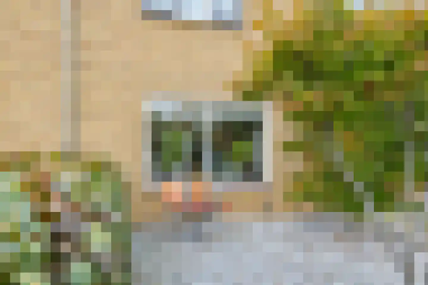 Gandhistraat 18 Zetten thumbnail 55