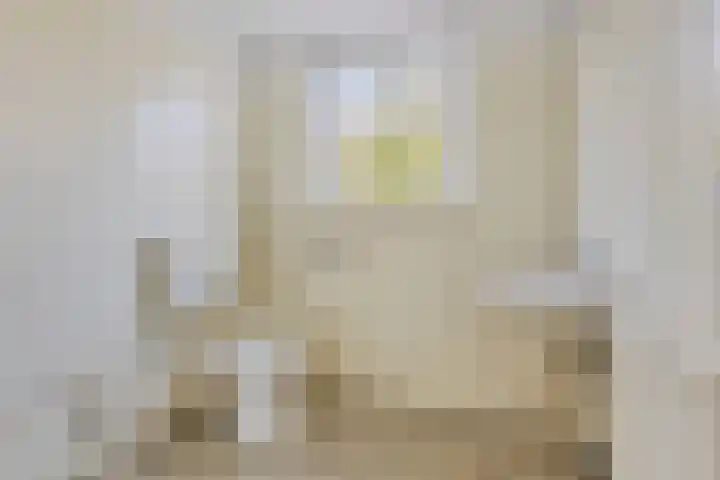 Gandhistraat 22 Haarlem thumbnail 32