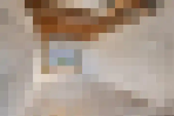 Gandhistraat 22 Haarlem thumbnail 36