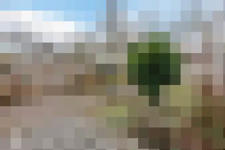 Gandhistraat 35 Hoofddorp thumbnail 12